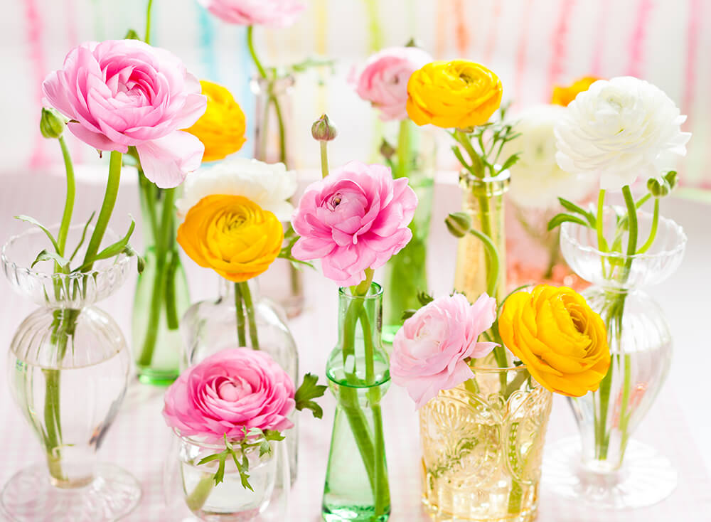 花は女性に若さをもたらす存在 部屋に好きな花を飾りましょう 李家幽竹 Official Website